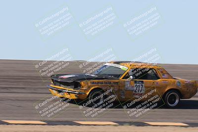 media/Oct-12-2025-Lucky Dog Racing (Sun) [[8adb5568ea]]/1-First Stint/2-Bowl Pans/